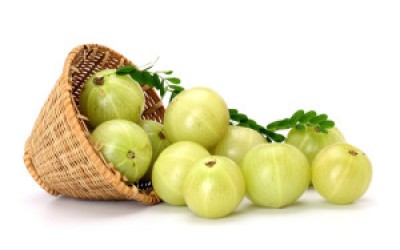 Amla for Premature Greying of Hair